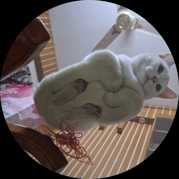 tmiyazawat